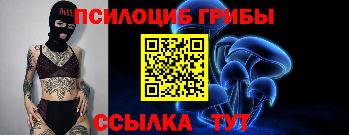 Галлюциногенные грибы мицелий  Вход с VPN  Братск 